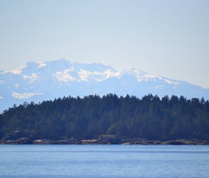 vanisland
