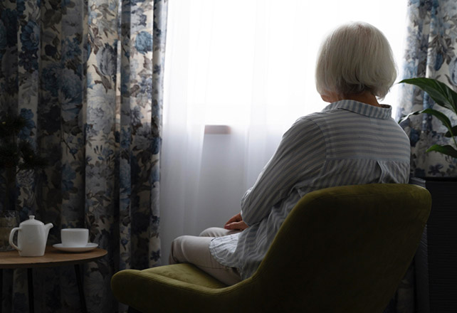 Supporting Seniors to Stay Independent and Connected Daily